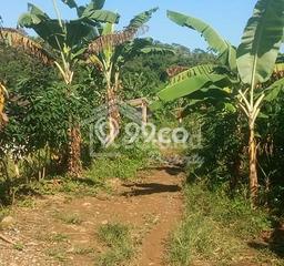 Lahan Strategis di Sidorejo Dijual dengan Luas 442m2 Lahan Strategis di Sidorejo Dijual dengan Luas 442m2