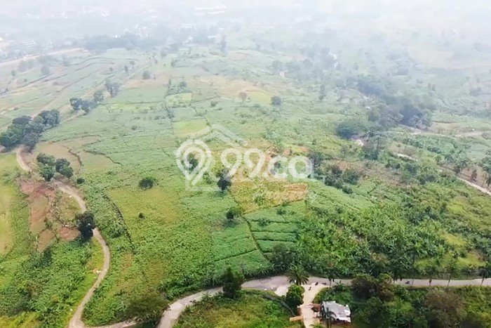 Tanah Kavling untuk Dijual di Citeureup Bogor 49138m2 Tanah Kavling untuk Dijual di Citeureup Bogor 49138m2