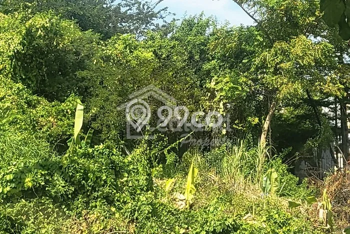 Tanah Strategis Disewakan di Sayung Demak Seluas 9617m2 Tanah Strategis Disewakan di Sayung Demak Seluas 9617m2