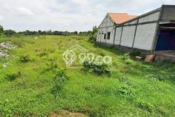 Tanah untuk Dijual Lokasi Weleri, Kendal Luas 5000m2 SHM Tanah untuk Dijual Lokasi Weleri, Kendal Luas 5000m2 SHM