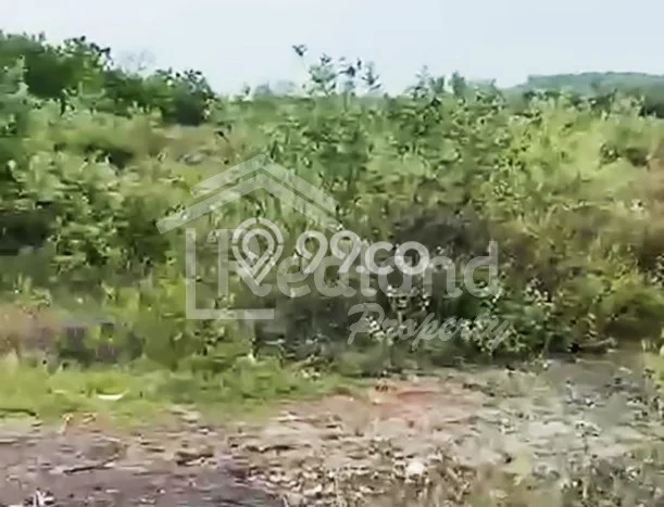 Kavling Tanah Dijual di Kragan Rembang Spesifikasi 180000m2 Kavling Tanah Dijual di Kragan Rembang Spesifikasi 180000m2