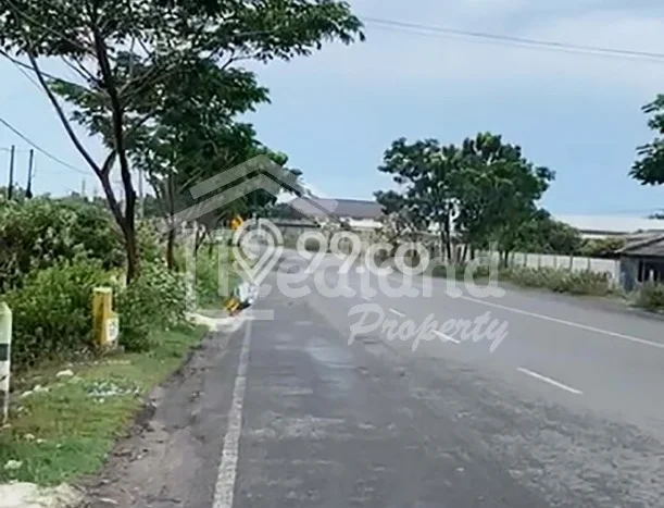 Kavling Tanah Dijual di Kragan Rembang Spesifikasi 180000m2 Kavling Tanah Dijual di Kragan Rembang Spesifikasi 180000m2