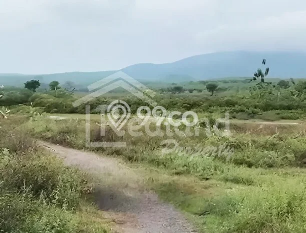 Kavling Tanah Dijual di Kragan Rembang Spesifikasi 180000m2 Kavling Tanah Dijual di Kragan Rembang Spesifikasi 180000m2