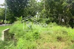 Kavling Tanah Dijual di Gringsing Batang Spesifikasi 6538m2 Kavling Tanah Dijual di Gringsing Batang Spesifikasi 6538m2