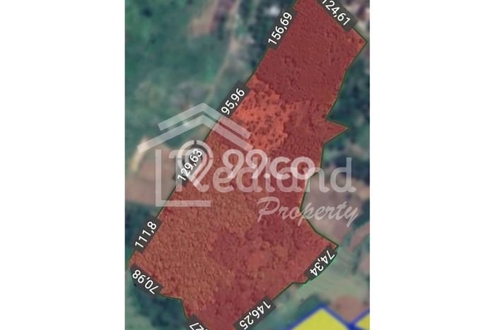 Dijual Tanah di Gringsing Batang Luas 63000m2 SHM Dijual Tanah di Gringsing Batang Luas 63000m2 SHM