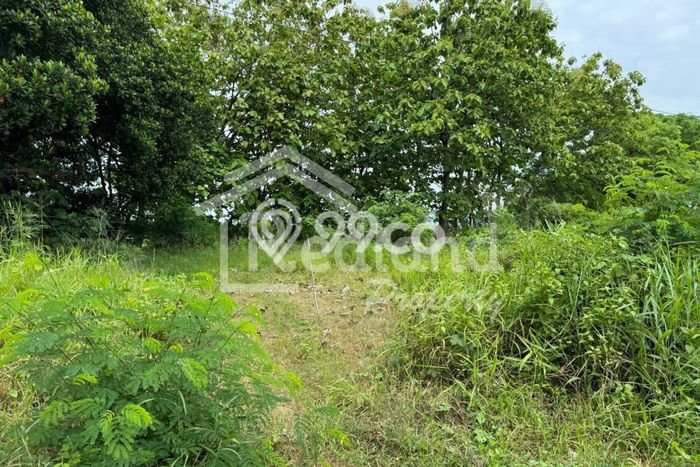 Tanah Kavling di Tersono Dijual dengan Luas 120000m2 Tanah Kavling di Tersono Dijual dengan Luas 120000m2