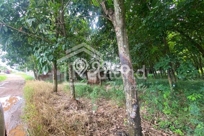 Tanah untuk Dijual di Gringsing Batang Luas 13000m2 Tanah untuk Dijual di Gringsing Batang Luas 13000m2