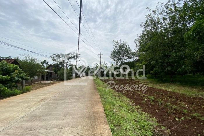 Dijual Tanah di Gringsing Batang Luas 63000m2 SHM Dijual Tanah di Gringsing Batang Luas 63000m2 SHM