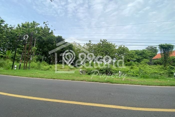 Kavling Tanah Dijual di Gringsing Batang Spesifikasi 6538m2 Kavling Tanah Dijual di Gringsing Batang Spesifikasi 6538m2