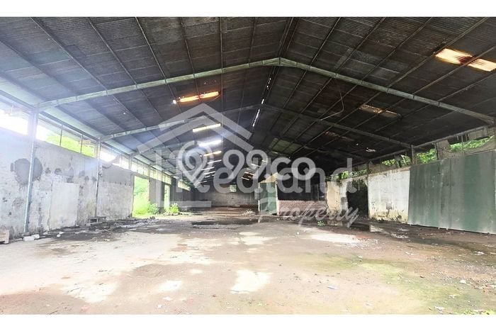 Kavling Tanah Disewakan di Kandeman Batang Luas 11910m2 Strategis Kavling Tanah Disewakan di Kandeman Batang Luas 11910m2 Strategis