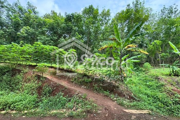 Tanah Kavling di Tersono Dijual dengan Luas 120000m2 Tanah Kavling di Tersono Dijual dengan Luas 120000m2