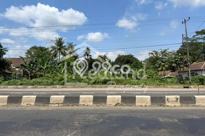 Lahan untuk Dijual Lokasi Batang, Batang Luas 200000m2 - Lahan untuk Dijual Lokasi Batang, Batang Luas 200000m2 -