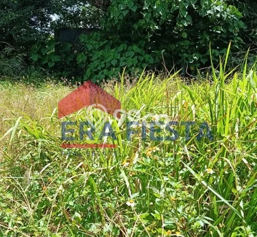 Tanah Kosong Dijual di Tangerang dengan Area 4595m2 Tanah Kosong Dijual di Tangerang dengan Area 4595m2