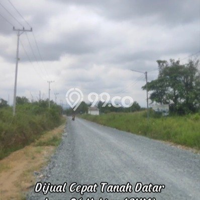 Tanah di Cempaka, Banjar Baru Luas 360000m2 Dijual Segera Tanah di Cempaka, Banjar Baru Luas 360000m2 Dijual Segera
