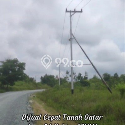 Tanah di Cempaka, Banjar Baru Luas 360000m2 Dijual Segera Tanah di Cempaka, Banjar Baru Luas 360000m2 Dijual Segera