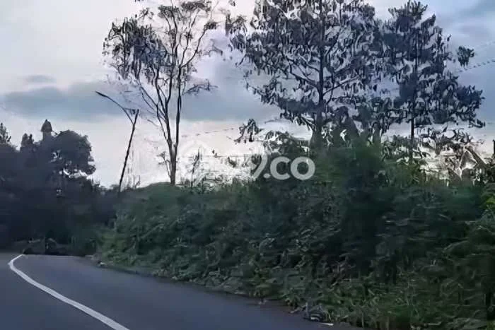 Tanah Komersial Dijual di Sukorejo Pasuruan 3700m2 Tanah Komersial Dijual di Sukorejo Pasuruan 3700m2