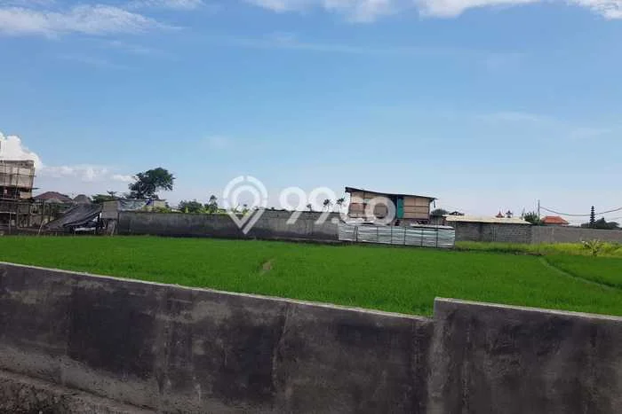 Rumah Luxury Modern Siap Huni di Cemagi Badung Rumah Luxury Modern Siap Huni di Cemagi Badung