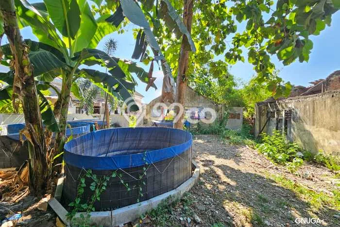 Dijual Rumah Minimalis Bagus Punya 0 KT di Sambikerep Surabaya SHM Dijual Rumah Minimalis Bagus Punya 0 KT di Sambikerep Surabaya SHM