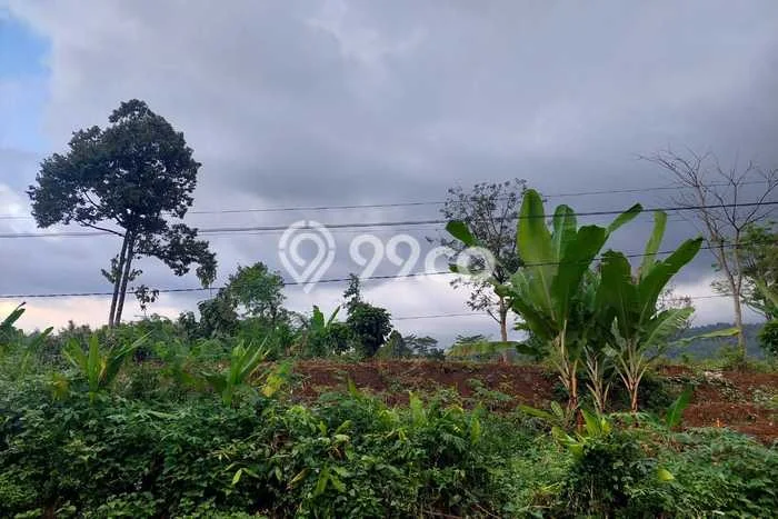 Tanah Komersial Dijual di Sukorejo Pasuruan 3700m2 Tanah Komersial Dijual di Sukorejo Pasuruan 3700m2