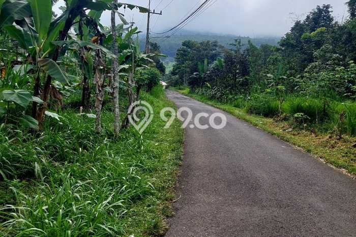 Kavling Tanah di Prigen Dijual Luas 9035m2 Legalitas SHM Kavling Tanah di Prigen Dijual Luas 9035m2 Legalitas SHM