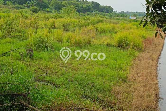 Tanah untuk Dijual Lokasi Cigasong, Majalengka Luas 288m2 SHM Tanah untuk Dijual Lokasi Cigasong, Majalengka Luas 288m2 SHM