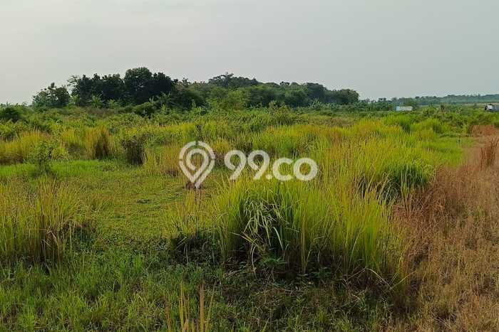 Tanah untuk Dijual Lokasi Cigasong, Majalengka Luas 288m2 SHM Tanah untuk Dijual Lokasi Cigasong, Majalengka Luas 288m2 SHM