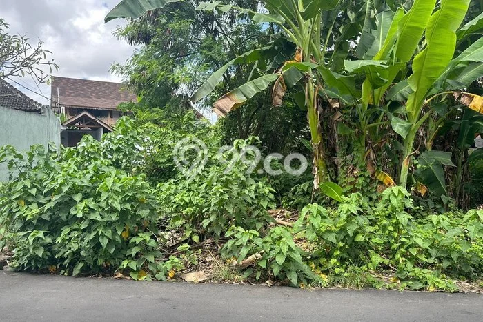 Tanah Disewakan Lokasi Badung Seluas 300m2 Strategis dan Aman Tanah Disewakan Lokasi Badung Seluas 300m2 Strategis dan Aman