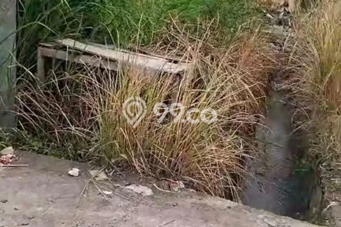 Disewakan Tanah di Cemagi Badung Seluas 500m2 Disewakan Tanah di Cemagi Badung Seluas 500m2