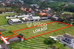Lahan untuk Disewakan di Kediri Tabanan SHM Lahan untuk Disewakan di Kediri Tabanan SHM