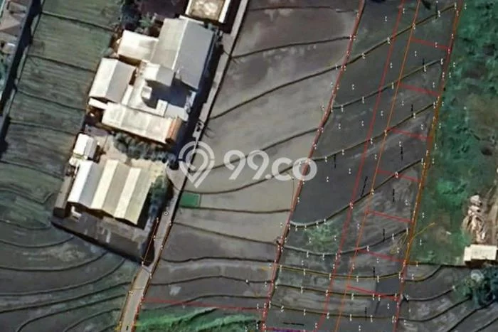 Tanah Komersial Disewakan di Kediri Tabanan Seluas 200m2 Tanah Komersial Disewakan di Kediri Tabanan Seluas 200m2