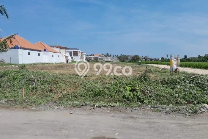 Kavling Tanah untuk Disewa di Munggu Lahan Luas 1200m2 Kavling Tanah untuk Disewa di Munggu Lahan Luas 1200m2