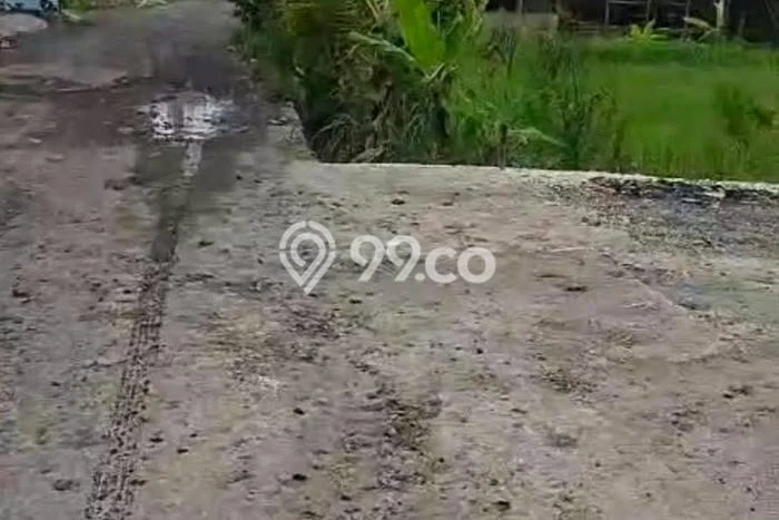 Disewakan Tanah di Cemagi Badung Seluas 500m2 Disewakan Tanah di Cemagi Badung Seluas 500m2