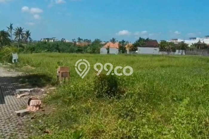 Disewakan Tanah di Munggu Badung Seluas 51000m2 Disewakan Tanah di Munggu Badung Seluas 51000m2