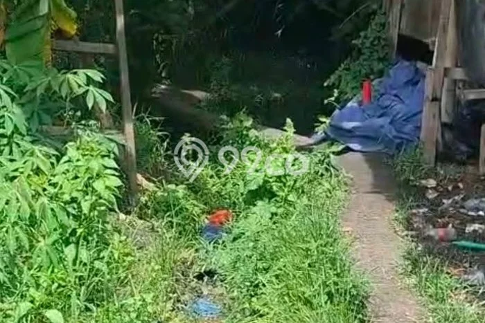 Tanah Kavling Disewakan di Munggu dengan Luas 700m2 Tanah Kavling Disewakan di Munggu dengan Luas 700m2