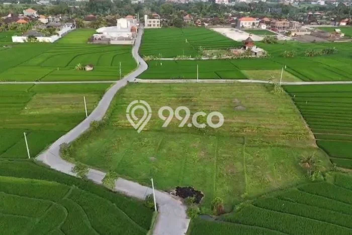 Kavling Tanah Lokasi Strategis di Kediri, Tabanan Disewakan 400m2 Kavling Tanah Lokasi Strategis di Kediri, Tabanan Disewakan 400m2