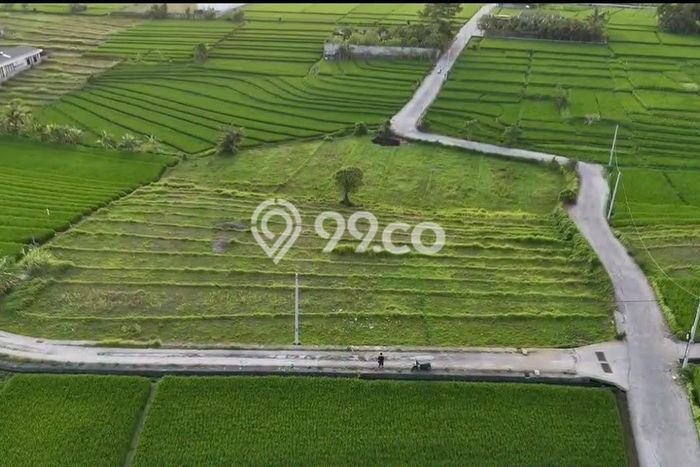 Kavling Tanah Lokasi Strategis di Kediri, Tabanan Disewakan 400m2 Kavling Tanah Lokasi Strategis di Kediri, Tabanan Disewakan 400m2