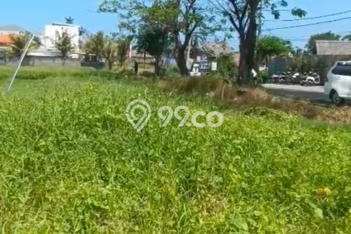 Lahan Disewakan Lokasi Munggu Badung Luas 51000m2 Lahan Disewakan Lokasi Munggu Badung Luas 51000m2