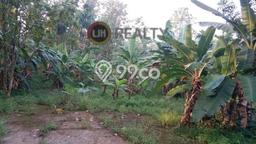 Kavling Tanah Dijual di Kemang Bogor Spesifikasi 13194m2 Kavling Tanah Dijual di Kemang Bogor Spesifikasi 13194m2