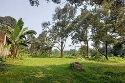 Kavling Tanah untuk Dijual di Sentul City, Bogor, Luas 10925m2 Kavling Tanah untuk Dijual di Sentul City, Bogor, Luas 10925m2