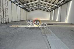 Gudang Disewakan di Area Ramai Ngaliyan, Semarang Gudang Disewakan di Area Ramai Ngaliyan, Semarang