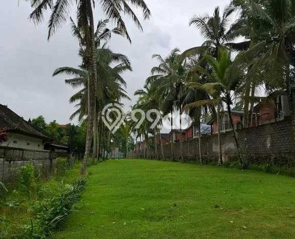 Dijual Tanah Lokasi Kedewatan, Gianyar Seluas 3100m2 Dijual Tanah Lokasi Kedewatan, Gianyar Seluas 3100m2