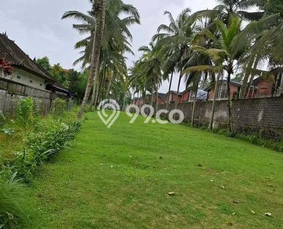 Dijual Tanah Lokasi Kedewatan, Gianyar Seluas 3100m2 Dijual Tanah Lokasi Kedewatan, Gianyar Seluas 3100m2