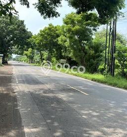Dijual Tanah Lokasi Pemuteran, Buleleng Seluas 2000m2 Dijual Tanah Lokasi Pemuteran, Buleleng Seluas 2000m2