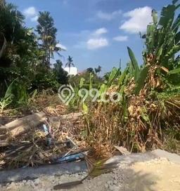 Dijual Tanah Lokasi canggu, Badung Seluas 996m2 Dijual Tanah Lokasi canggu, Badung Seluas 996m2