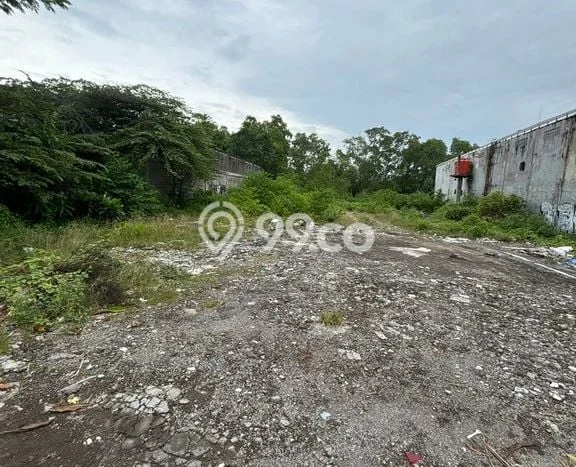 Tanah Disewakan Lokasi Badung Seluas 1000m2 Strategis dan Aman Tanah Disewakan Lokasi Badung Seluas 1000m2 Strategis dan Aman