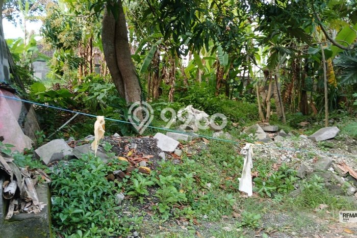 Tanah Dijual Lokasi Strategis di Badung dengan Luas 450m2 Tanah Dijual Lokasi Strategis di Badung dengan Luas 450m2