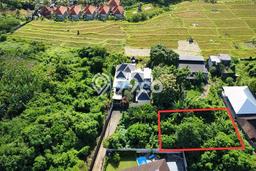 Tanah Dijual Area Strategis di Batuan Kaler Gianyar 600m2 Tanah Dijual Area Strategis di Batuan Kaler Gianyar 600m2