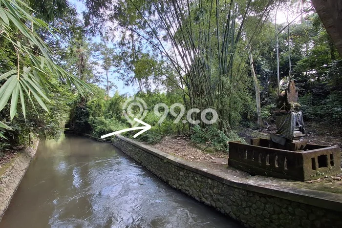 Dijual Tanah Lokasi Mas, Gianyar Seluas 900m2 Dijual Tanah Lokasi Mas, Gianyar Seluas 900m2