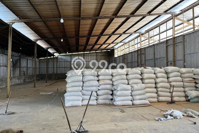 Dijual Gudang di Pekalongan Lampung Timur LT 7318m2 / LB 1043m2 Dijual Gudang di Pekalongan Lampung Timur LT 7318m2 / LB 1043m2