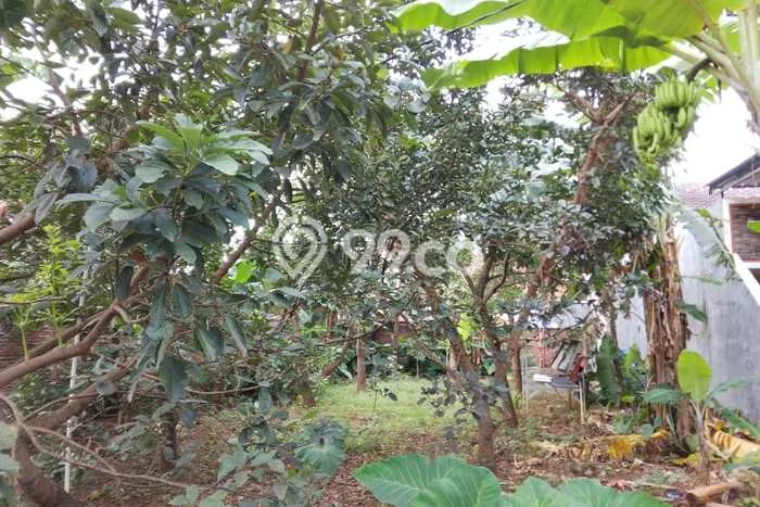 Tanah Dijual Lokasi Langkapura, Bandar Lampung Luas 404m2 Legalitas Aman Tanah Dijual Lokasi Langkapura, Bandar Lampung Luas 404m2 Legalitas Aman